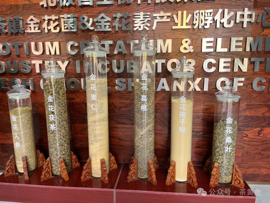 北极宫融资成功,金花菌产业闪耀资本舞台 北极宫融资成功,金花菌产业闪耀资本舞台