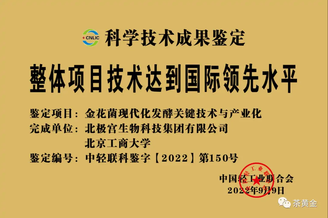 北极宫融资成功,金花菌产业闪耀资本舞台 北极宫融资成功,金花菌产业闪耀资本舞台