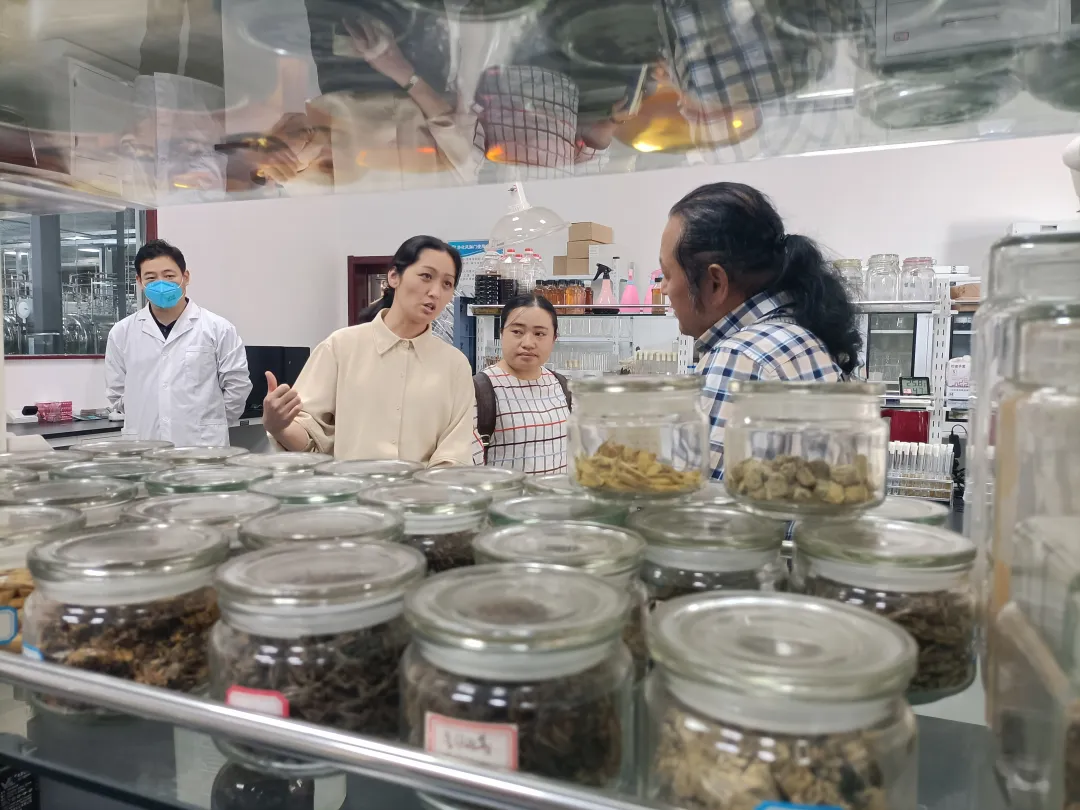 泸州老窖高层访问北极宫茶黄金,共探金花产业未来 泸州老窖高层访问北极宫茶黄金,共探金花产业未来