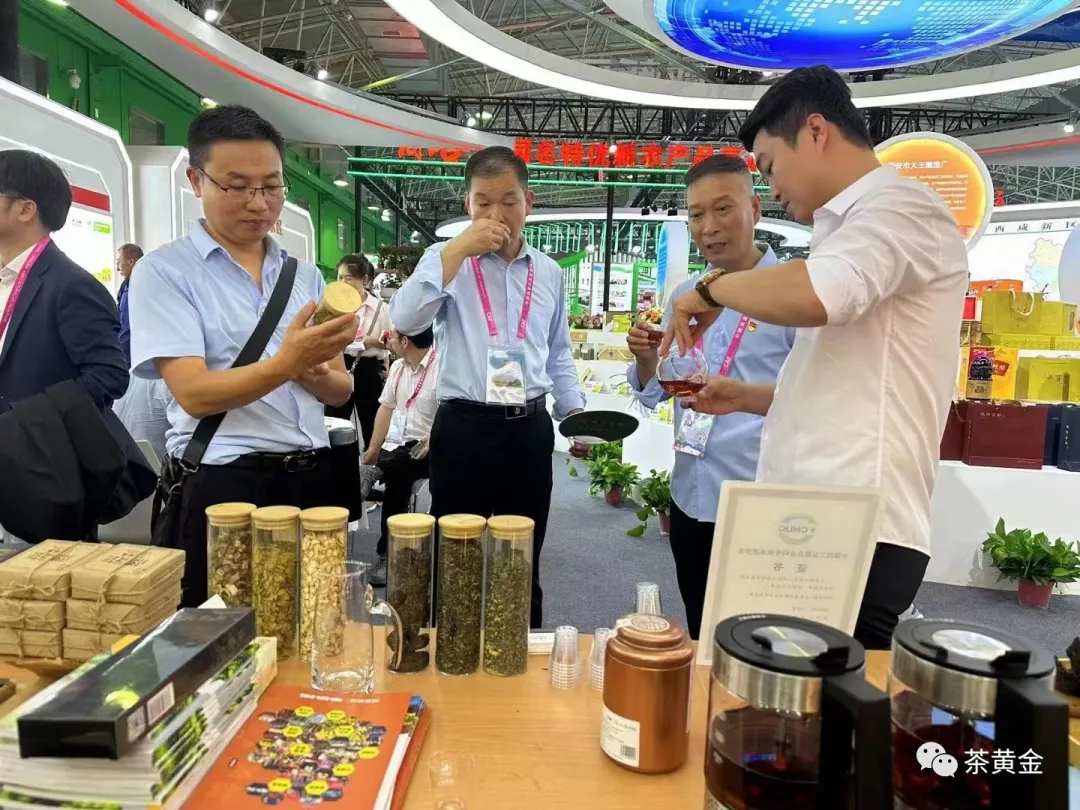 “金花博士”刘翔与北极宫的产业传奇:千年金花菌,现代科技绽放新辉 “金花博士”刘翔与北极宫的产业传奇:千年金花菌,现代科技绽放新辉